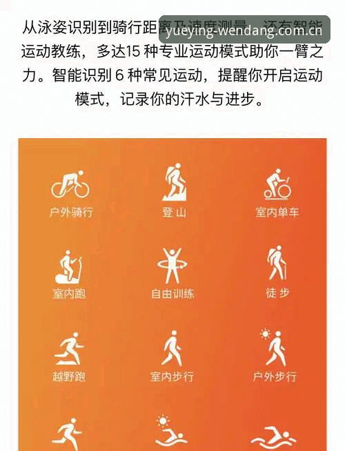2026悦盈体育平台深度评测：老用户的真实体验与功能全解析